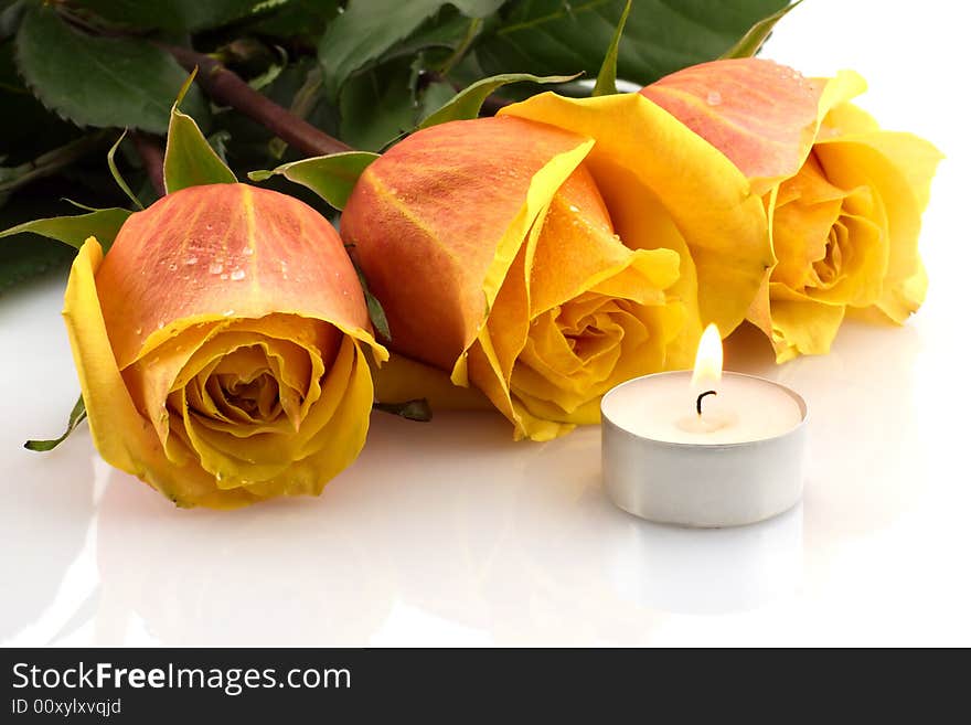 Yellow-red roses and candle lit, reflection on white background. Yellow-red roses and candle lit, reflection on white background