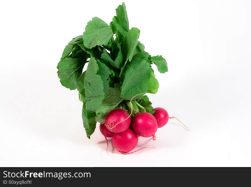 A bunch of fresh radishes on white background