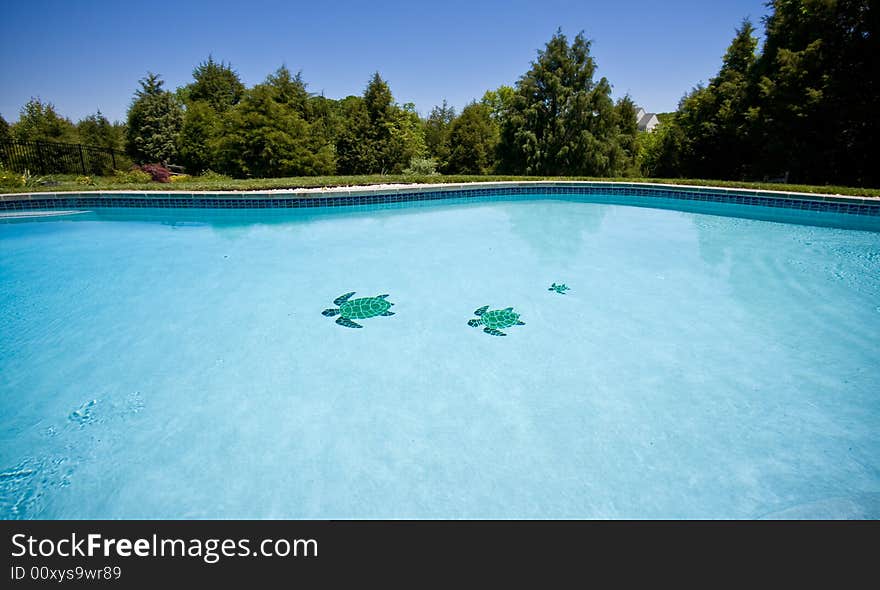 Water level view of a pool stretching into the distance and showing three tiled turtles on the floor of the pool. Water level view of a pool stretching into the distance and showing three tiled turtles on the floor of the pool