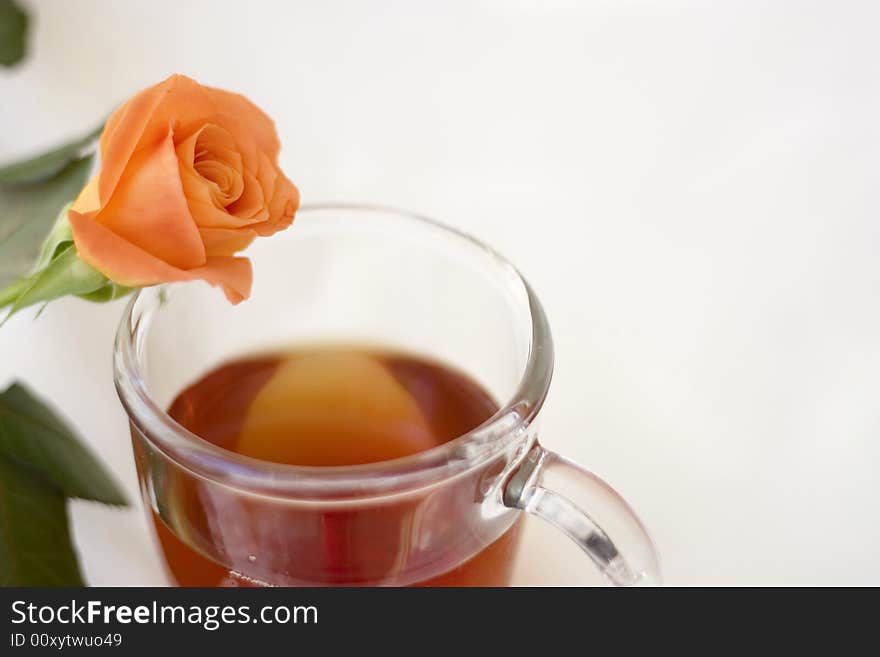 A cup of tea isolated on white. A cup of tea isolated on white