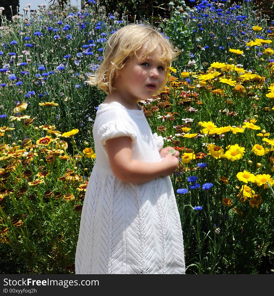 Little girl stands in front of a profusion of blue and yellow flowers, holding a leaf in her hands. Little girl stands in front of a profusion of blue and yellow flowers, holding a leaf in her hands.