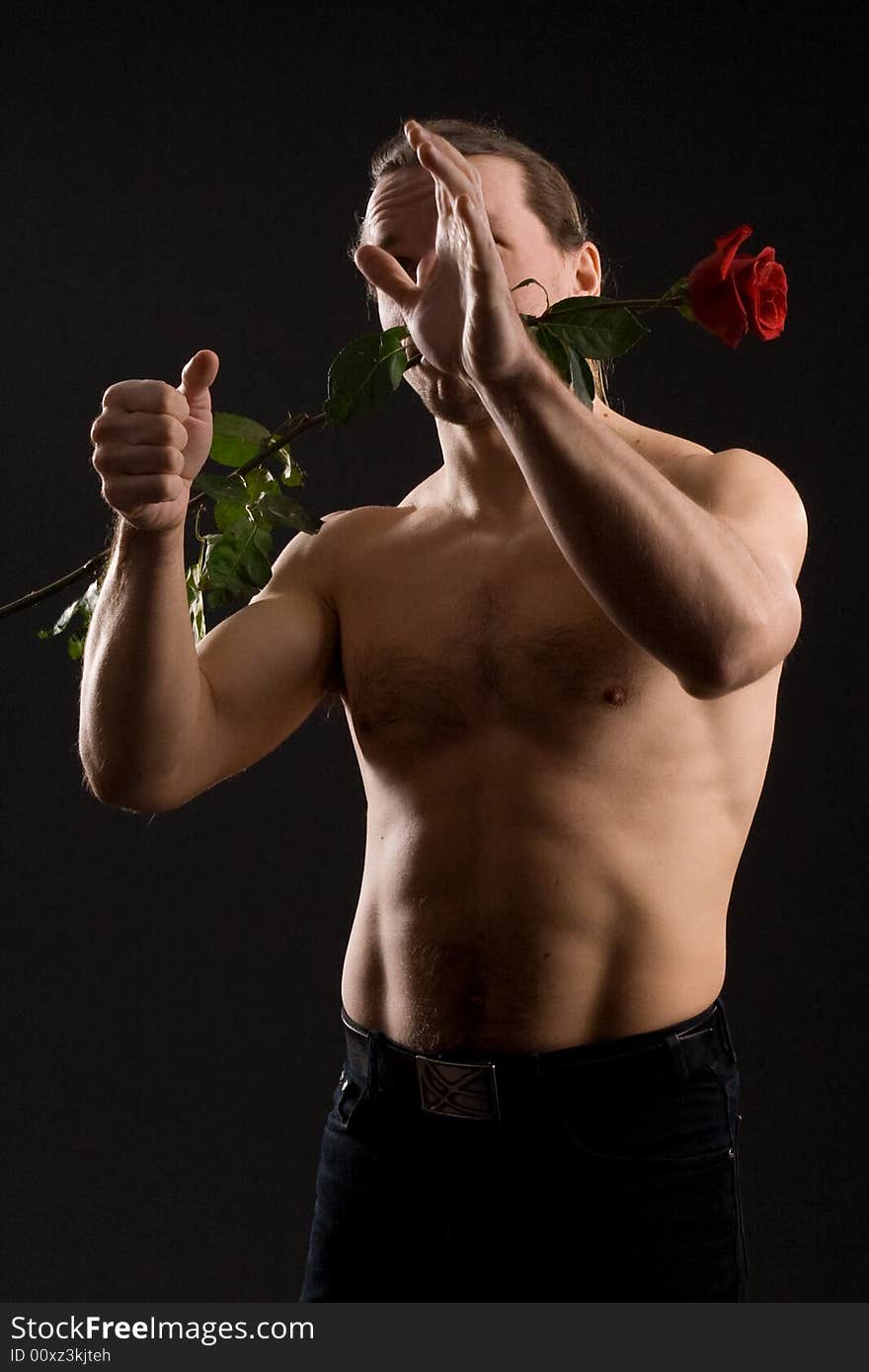 Clambering romantic man with red rose. Clambering romantic man with red rose