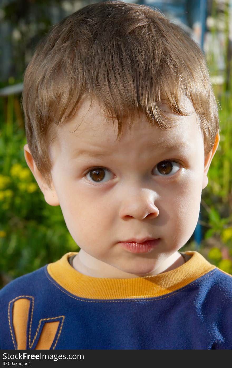 The child close up on a summer background. The child close up on a summer background