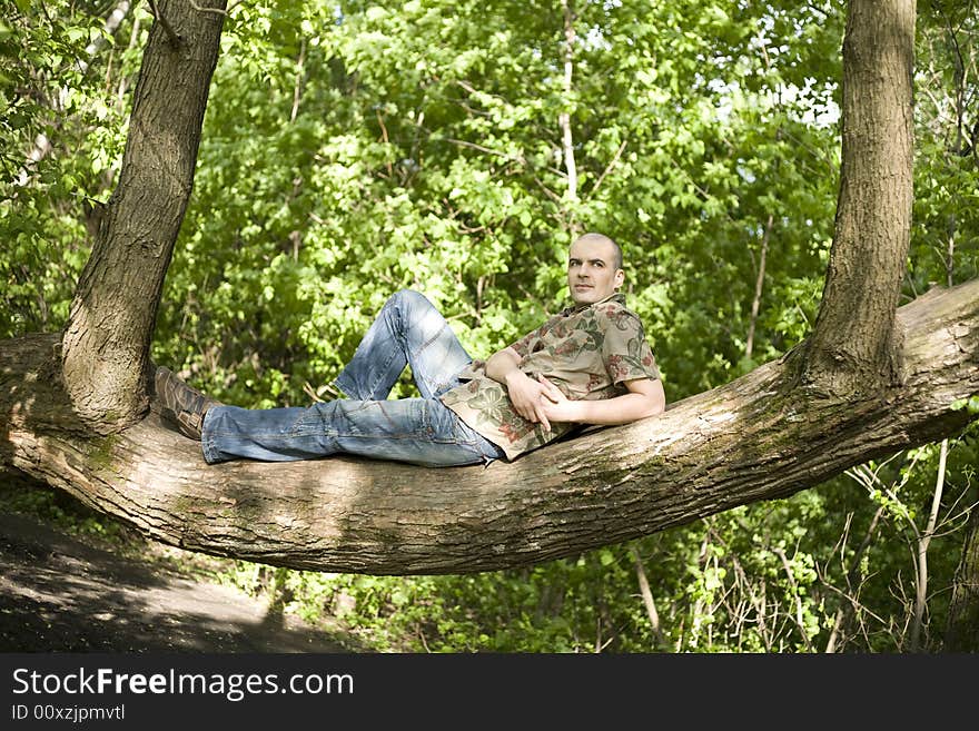 Young Man Relaxing On The Tree