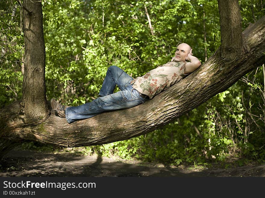 Young Man Relaxing Under The Sunlight