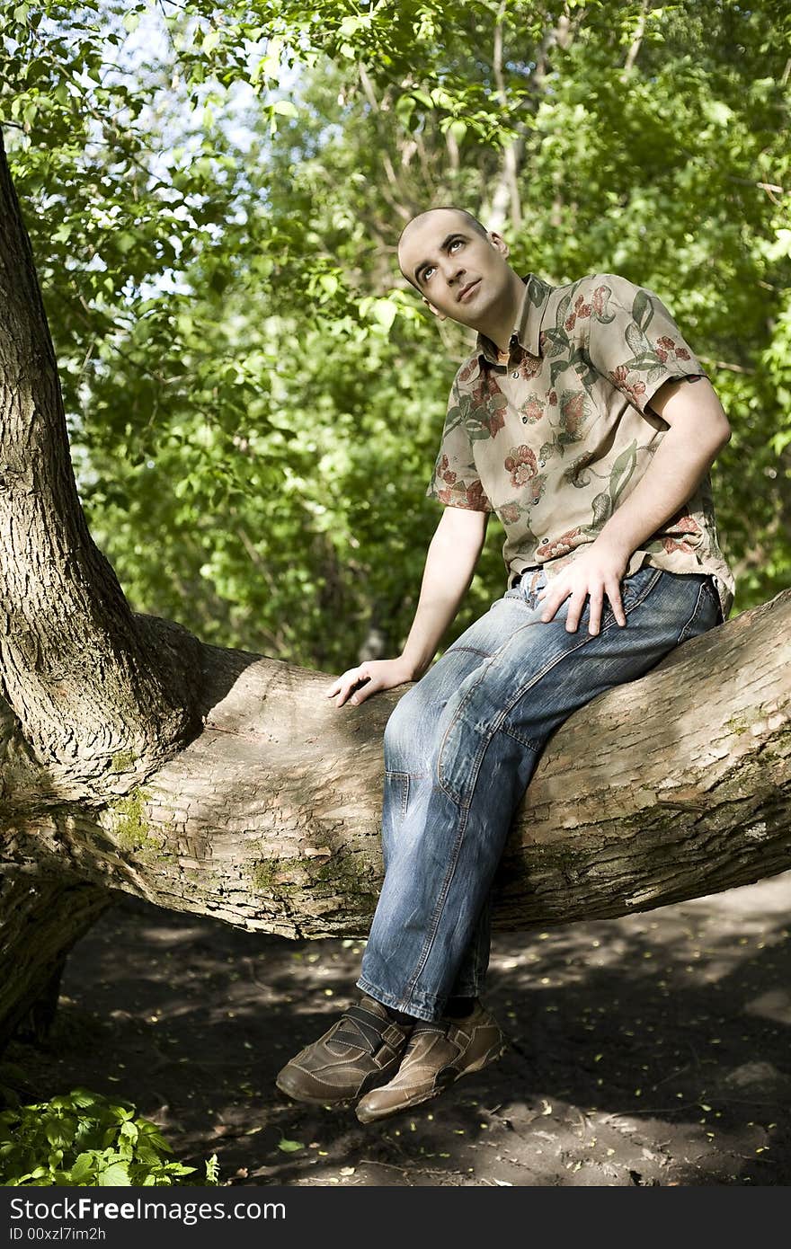 Hope. Young Man Sitting On The Tree.