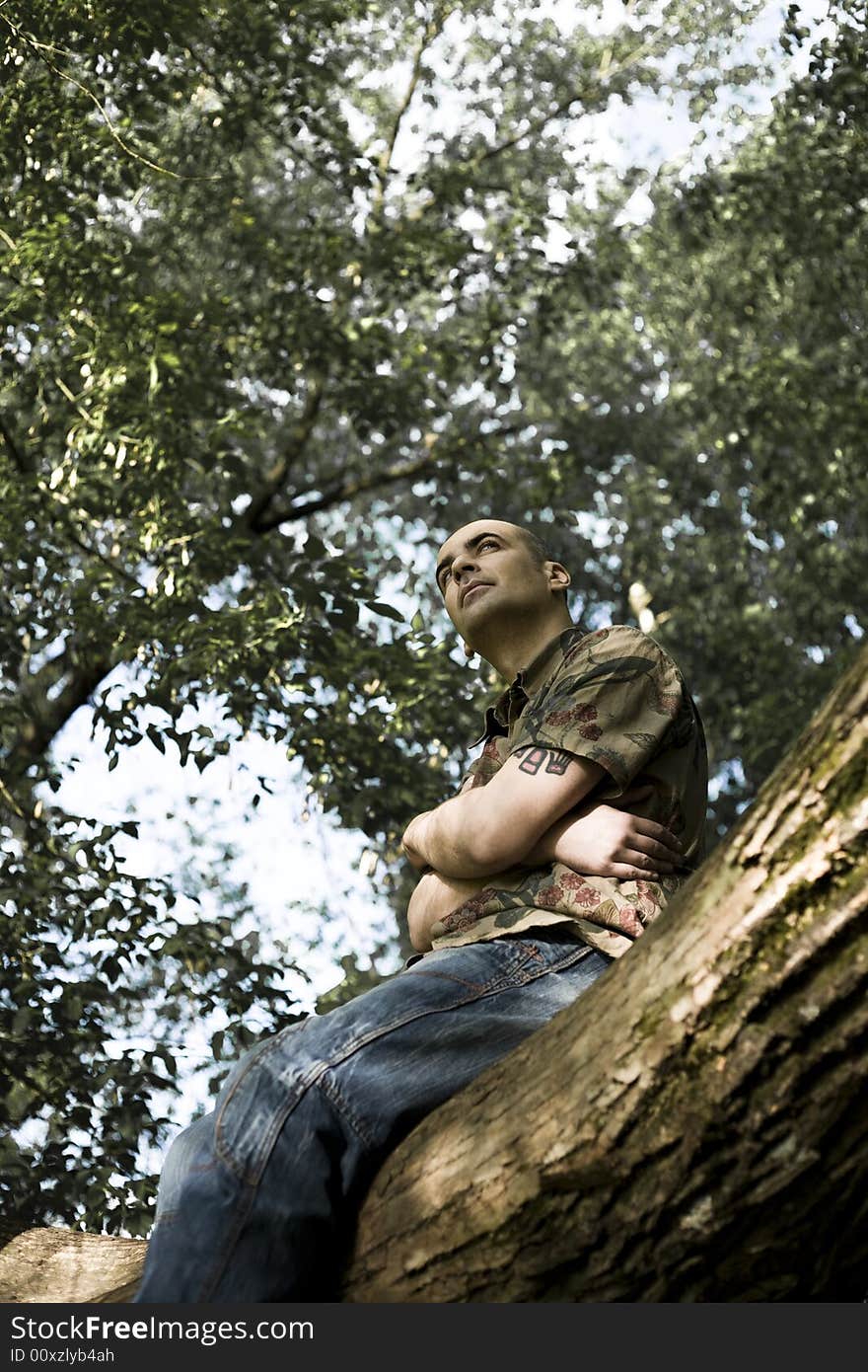 Man Relaxing On The Tree. Man Relaxing On The Tree