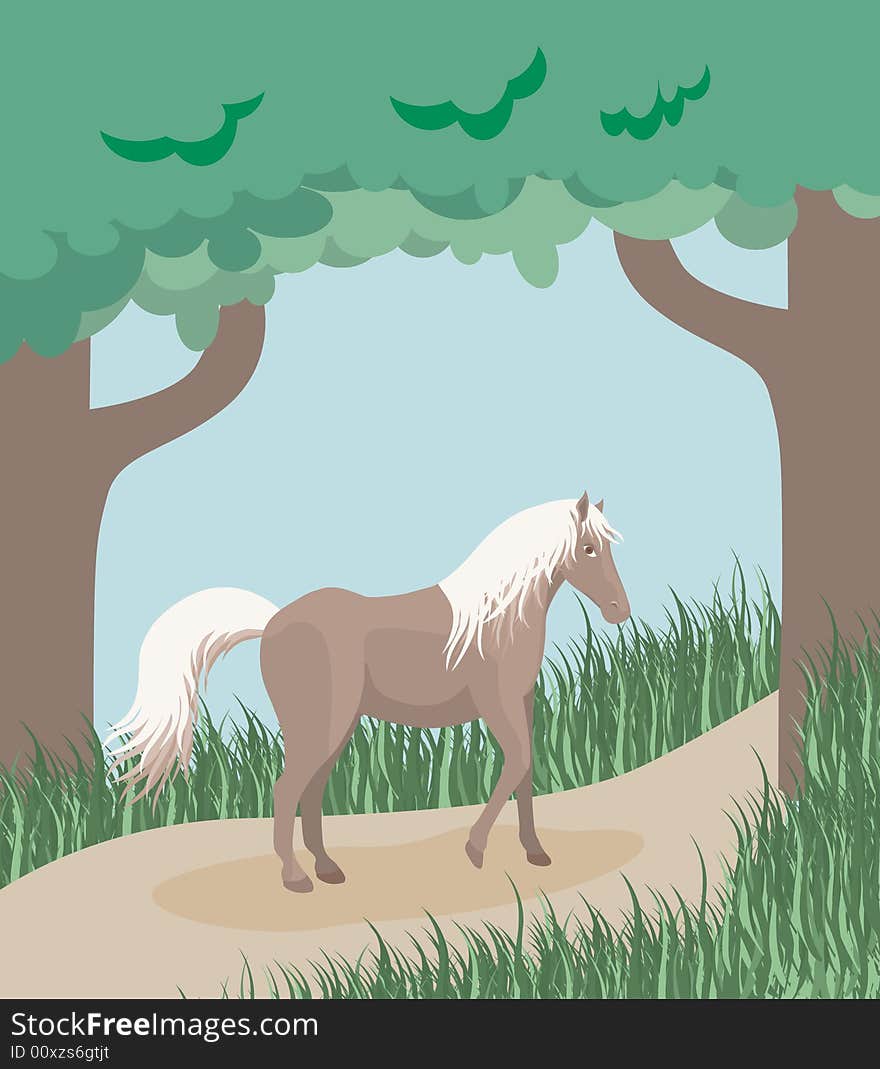 Horse On A Forest Path