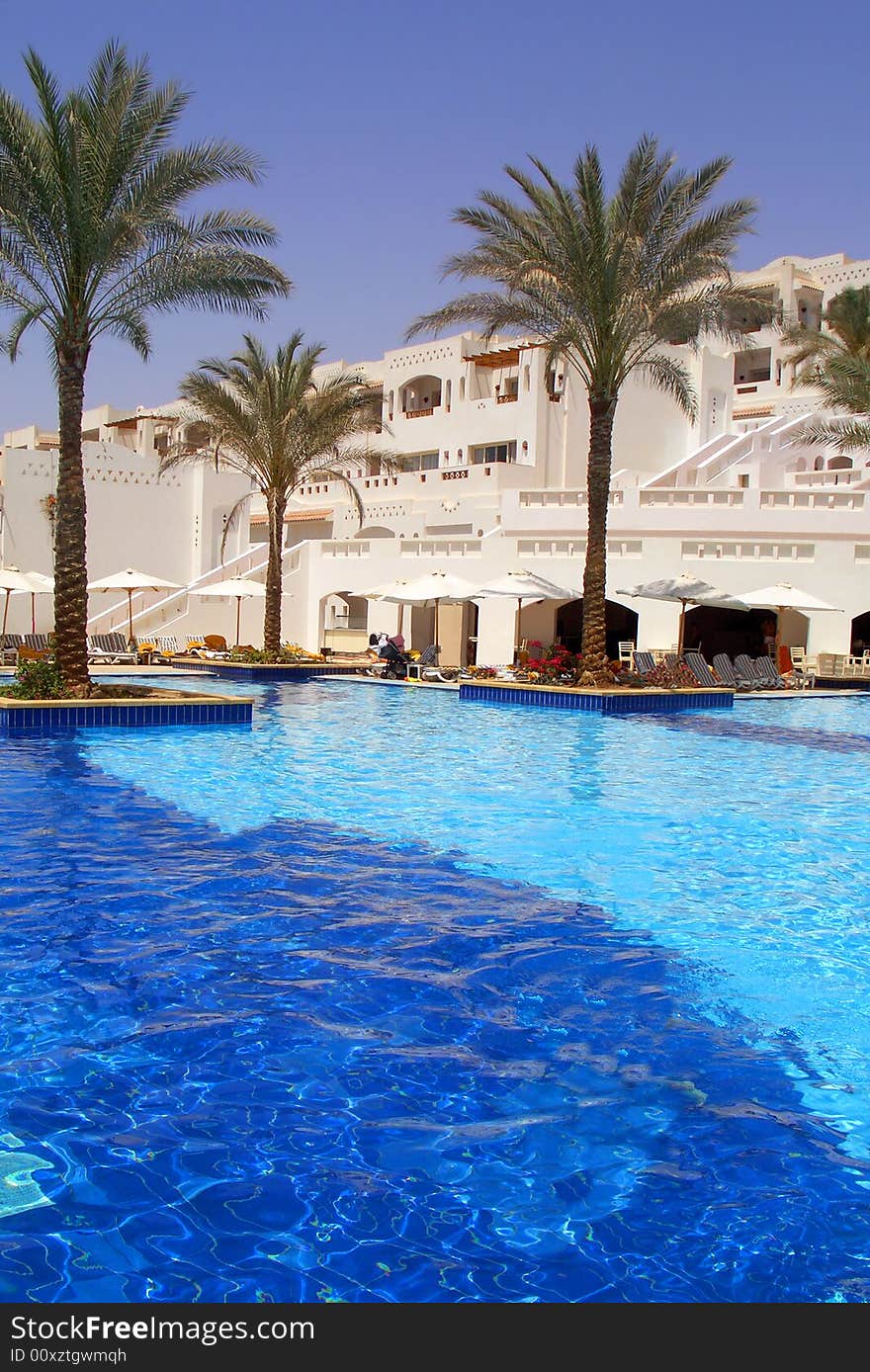 Swimming pool and palms near the hotel