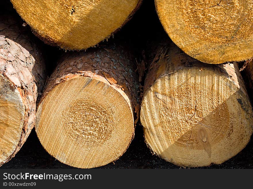 Close-up logs