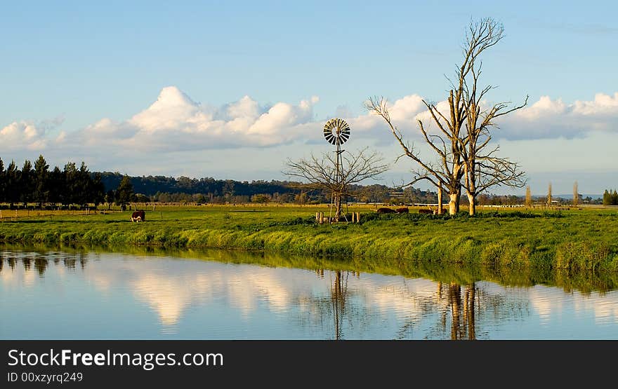 I was struck by the reflections in the water and thought they looked like mountains. I was struck by the reflections in the water and thought they looked like mountains.