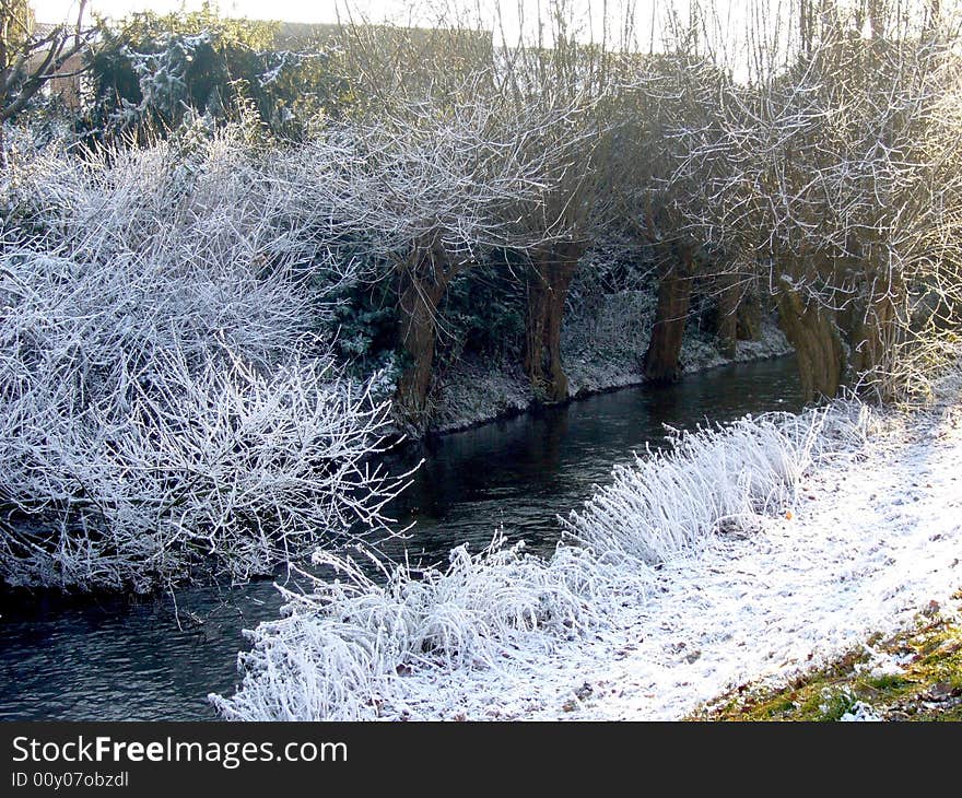 Winter In Park