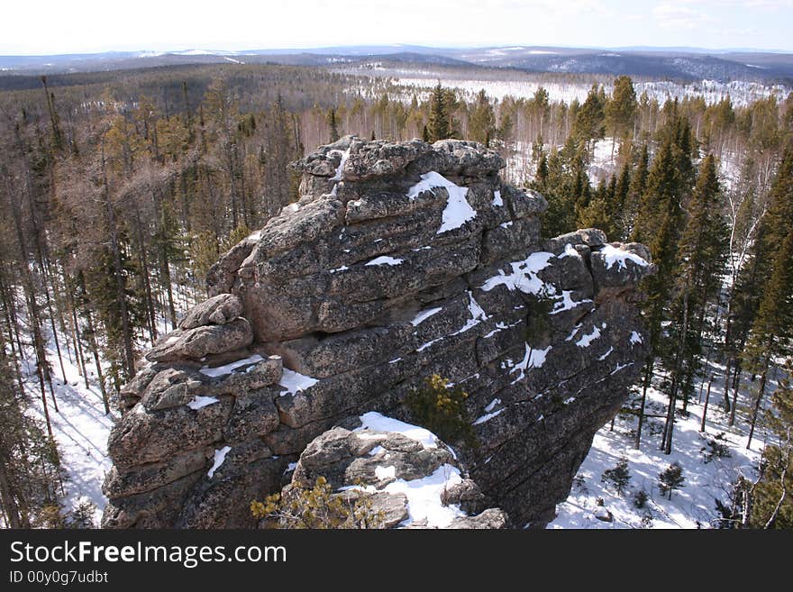 Rock in a wood