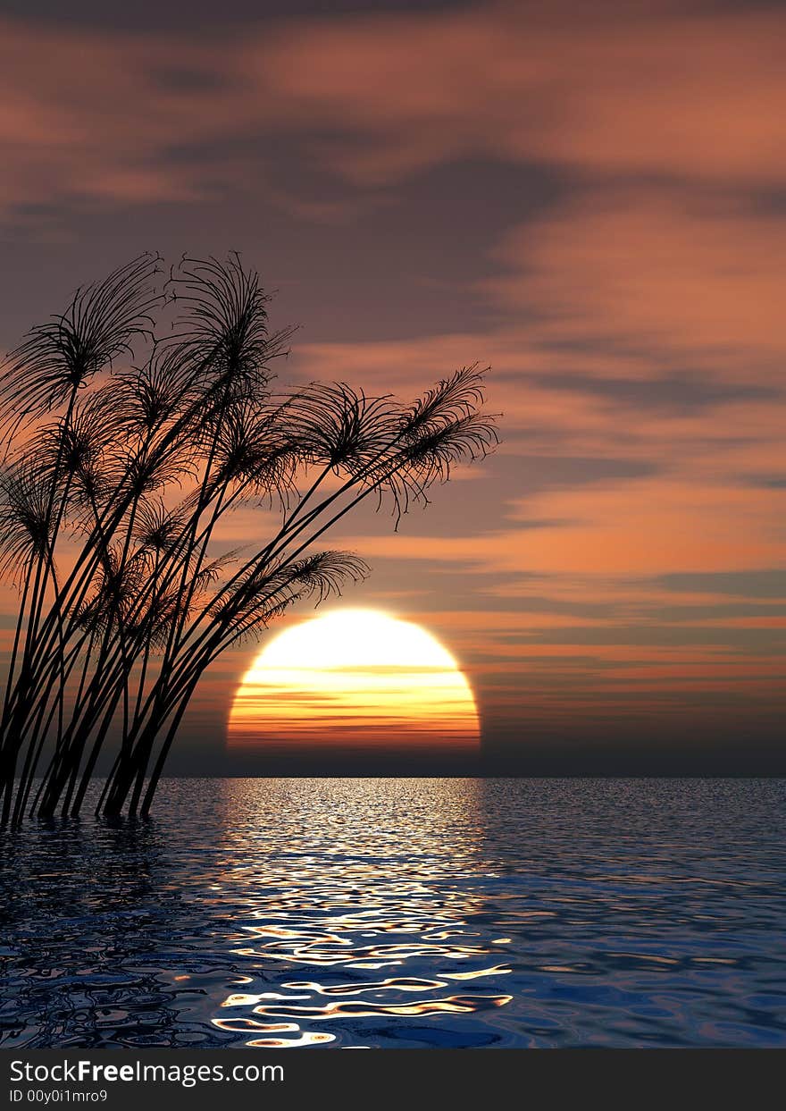 Water plants on a sea sunset  background  -  3D scene. Water plants on a sea sunset  background  -  3D scene.