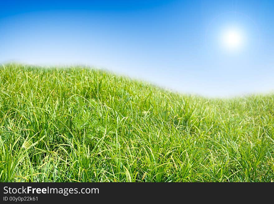 Green grass and blue sky background.