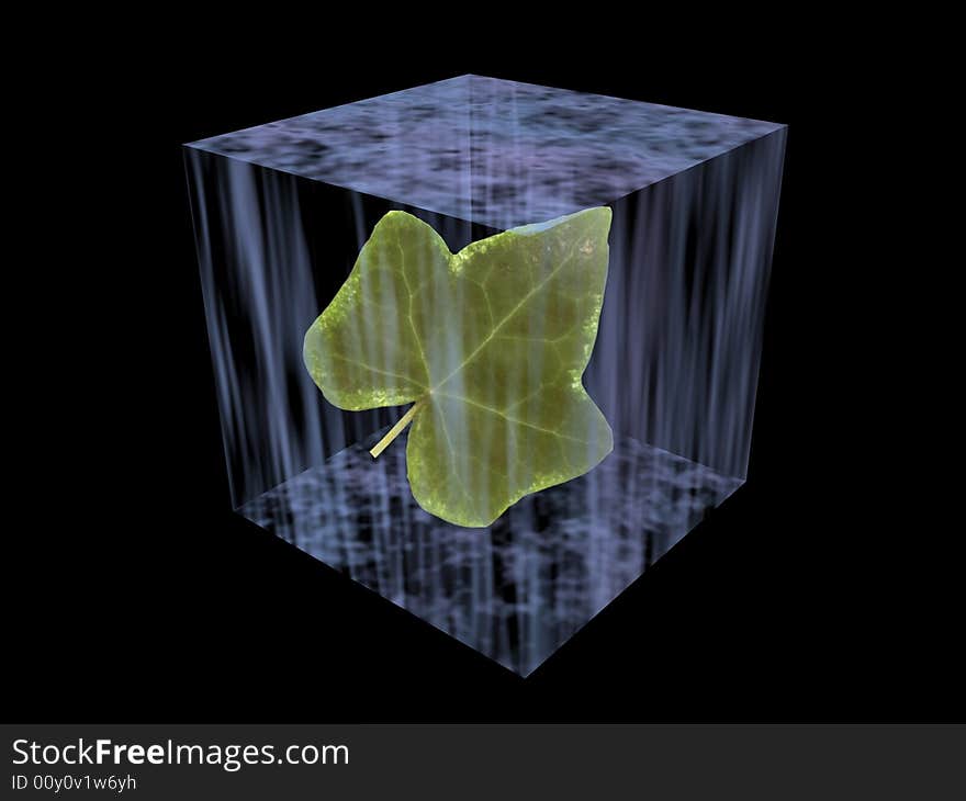 The frozen green leaf in a cube of an ice. The frozen green leaf in a cube of an ice