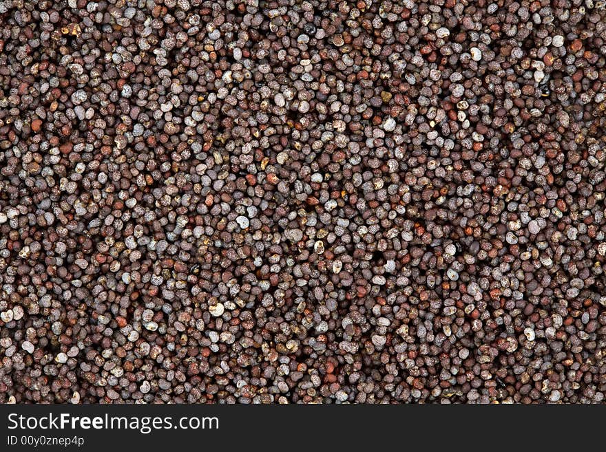 Closeup of a Multitude of Poppy Seeds. Closeup of a Multitude of Poppy Seeds