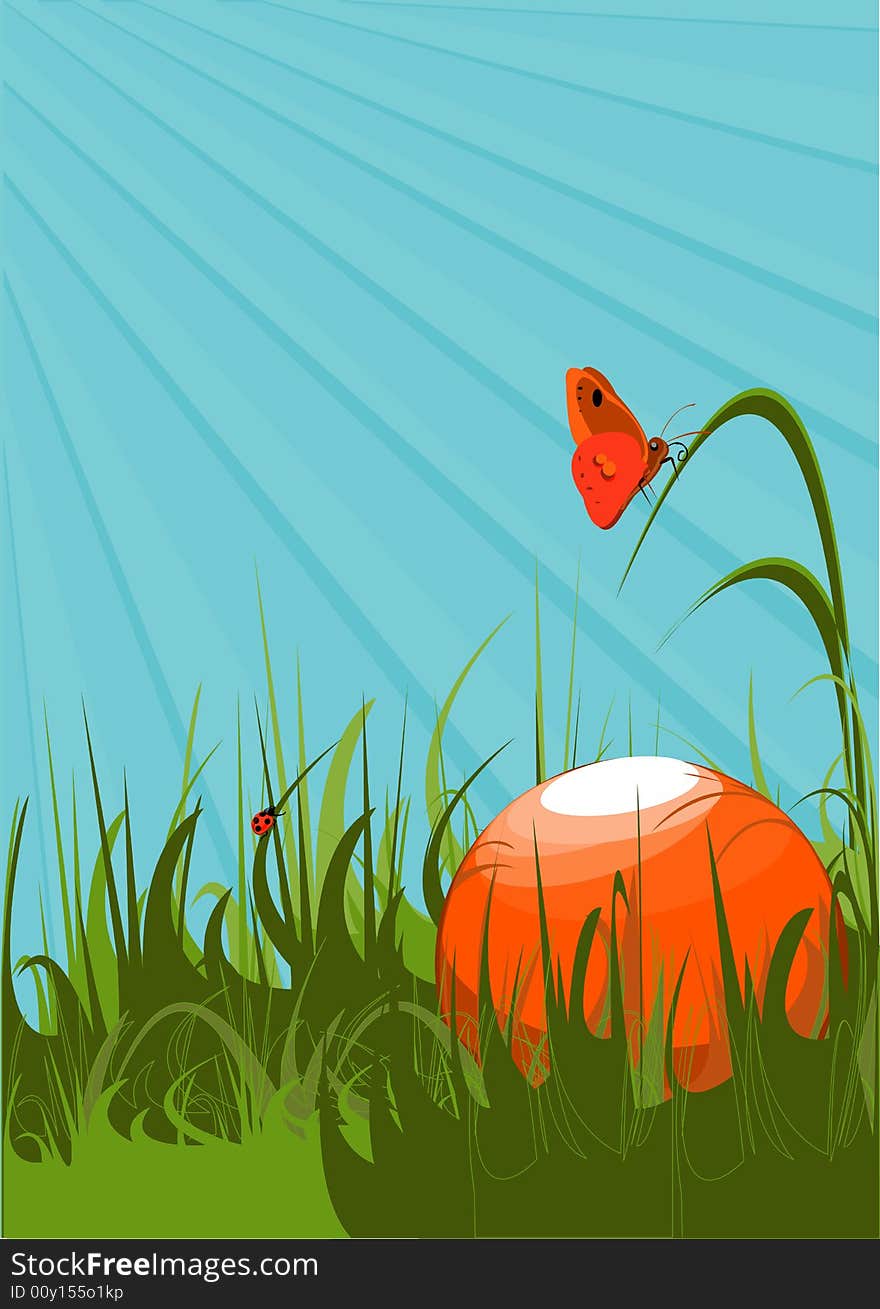 Orange ball on a green grass