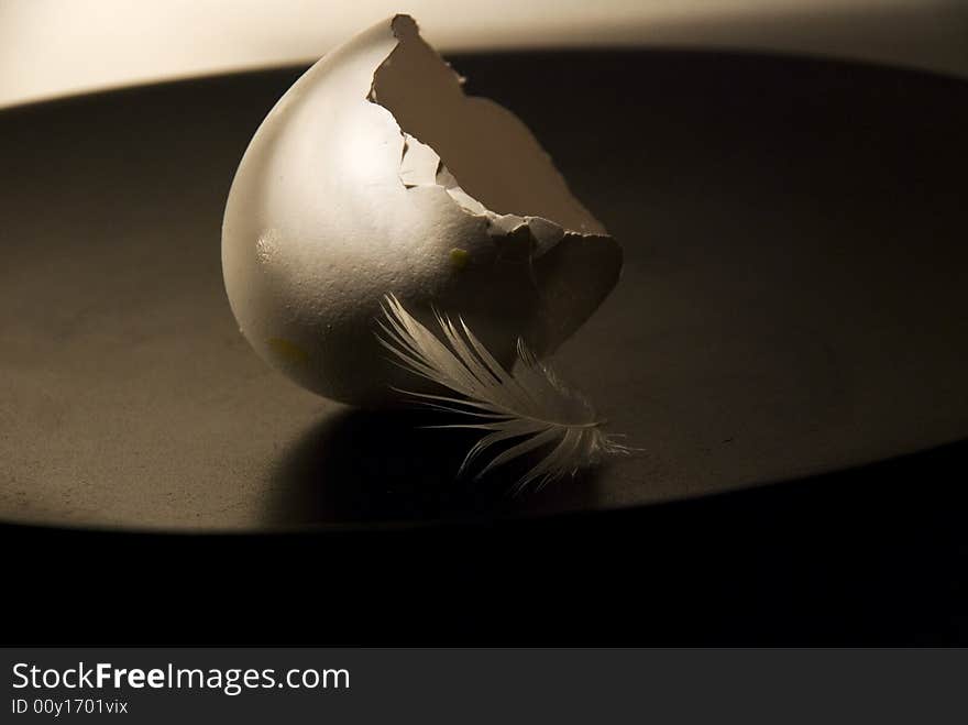 Eggshell with white feather on a black plate. Eggshell with white feather on a black plate.