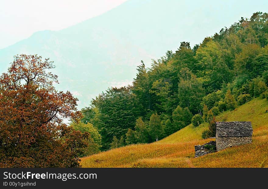 Hut in the meadow