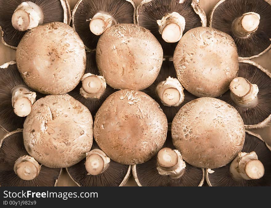 Portobello Mushrooms arranged in a pattern on a cardboard background