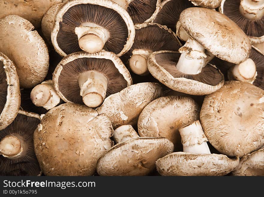 Portobello Mushrooms