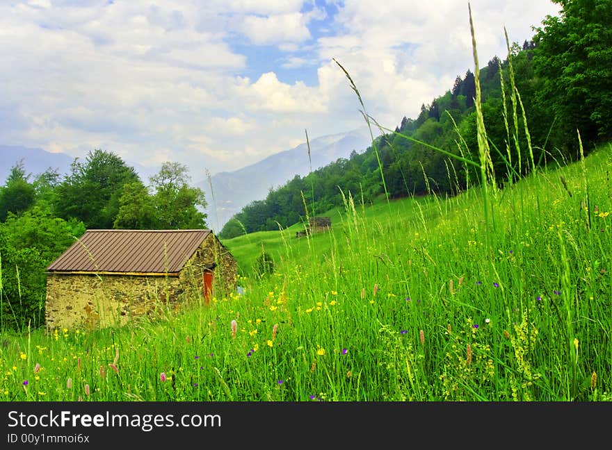 House in the meadow