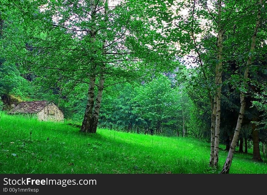 House In The Meadow