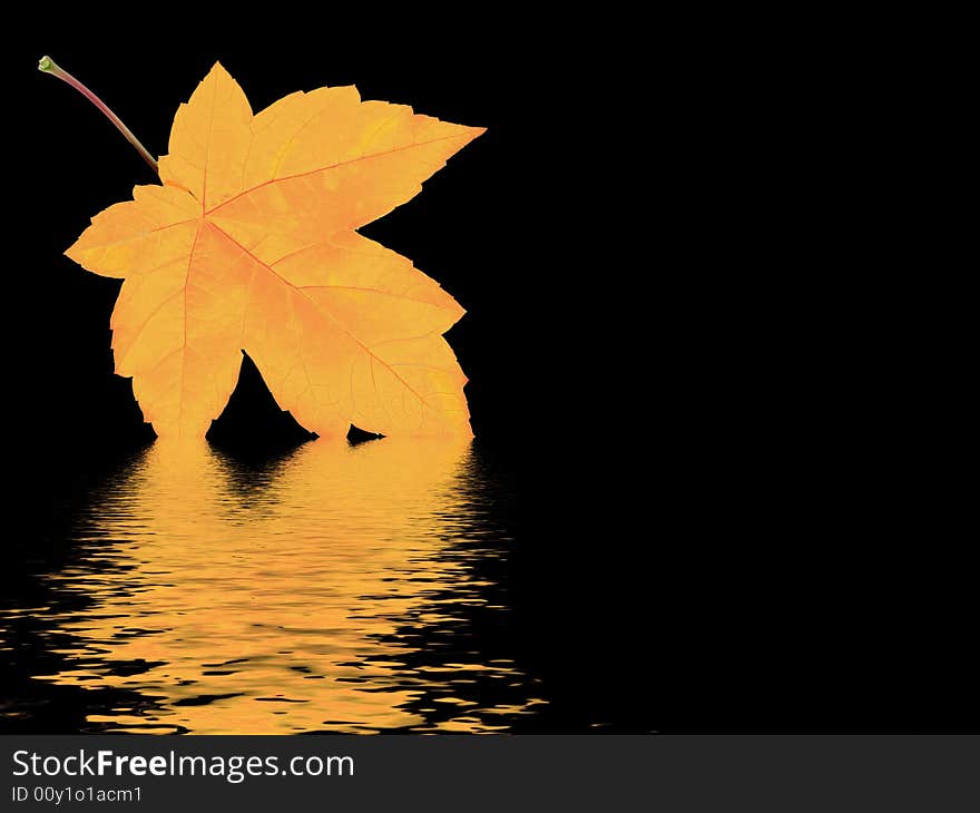 Autumn leaf and water reflection. Autumn leaf and water reflection