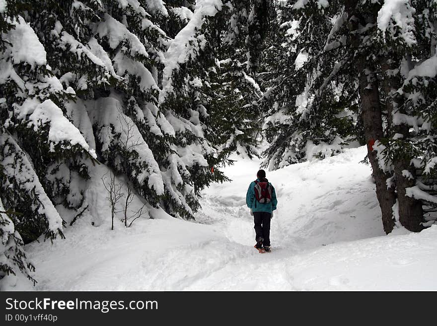 Trekking in the alps