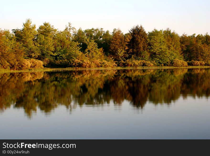 Morning Reflections of Trees on the Water