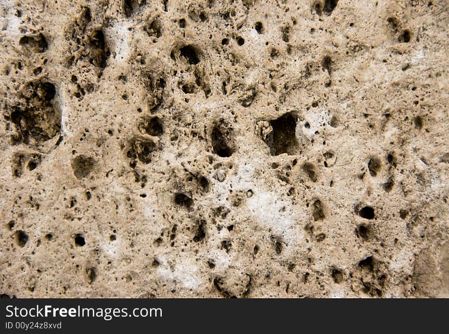 Weathered marine rock showing porous texture. Weathered marine rock showing porous texture