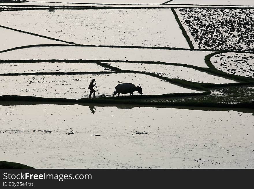 The Shadow Of The Farmer