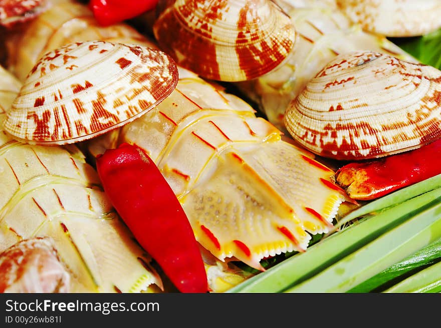 Mussel and Red-banded mantis shrimp. Mussel and Red-banded mantis shrimp