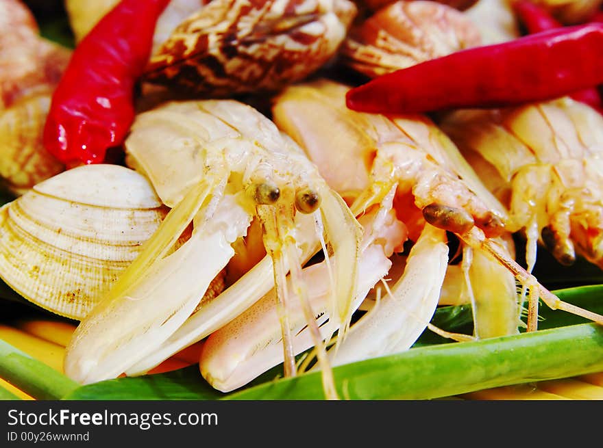 Mussel and Red-banded mantis shrimp. Mussel and Red-banded mantis shrimp