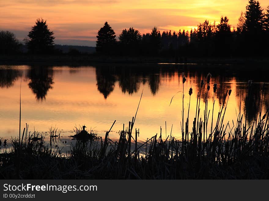 Golden Sunset