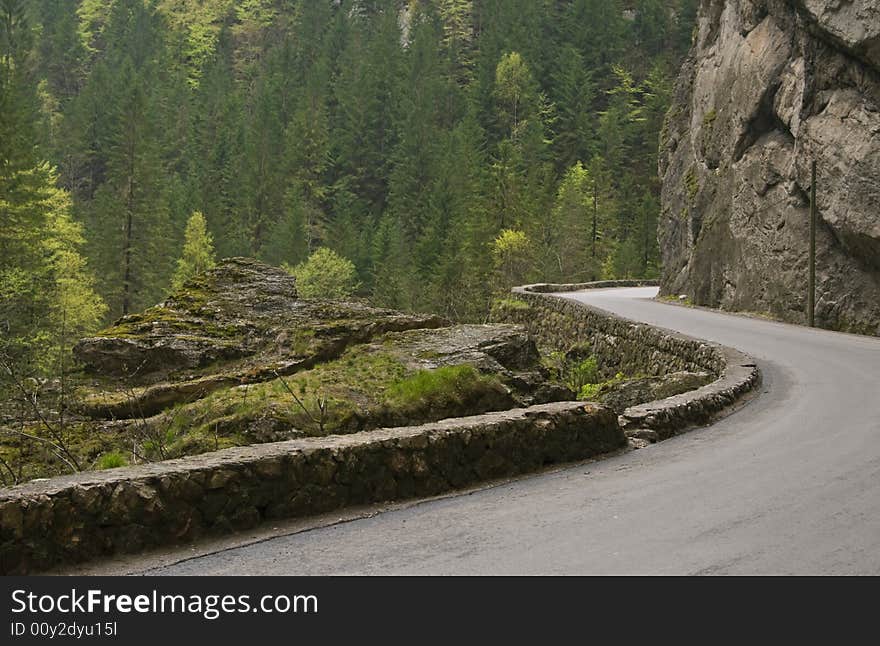 Road In Bicaz Canyon