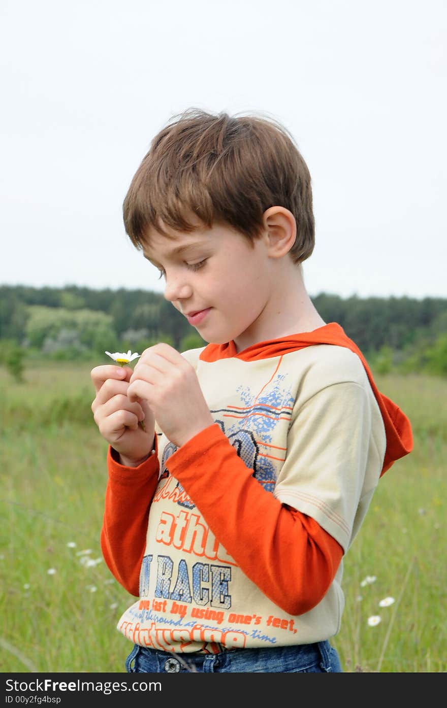 Boy and chamomile