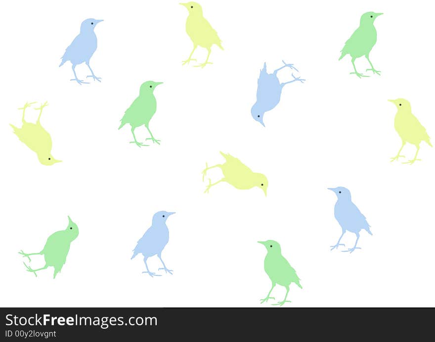 Birds on a white background