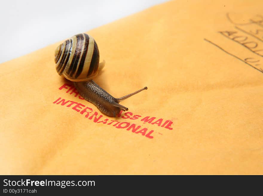 Garden snail on the envelope. Garden snail on the envelope.