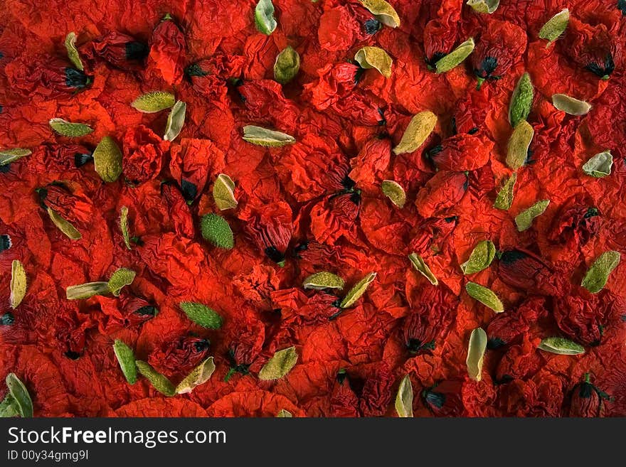 Red poppy petals and buds settle on a plate. Red poppy petals and buds settle on a plate