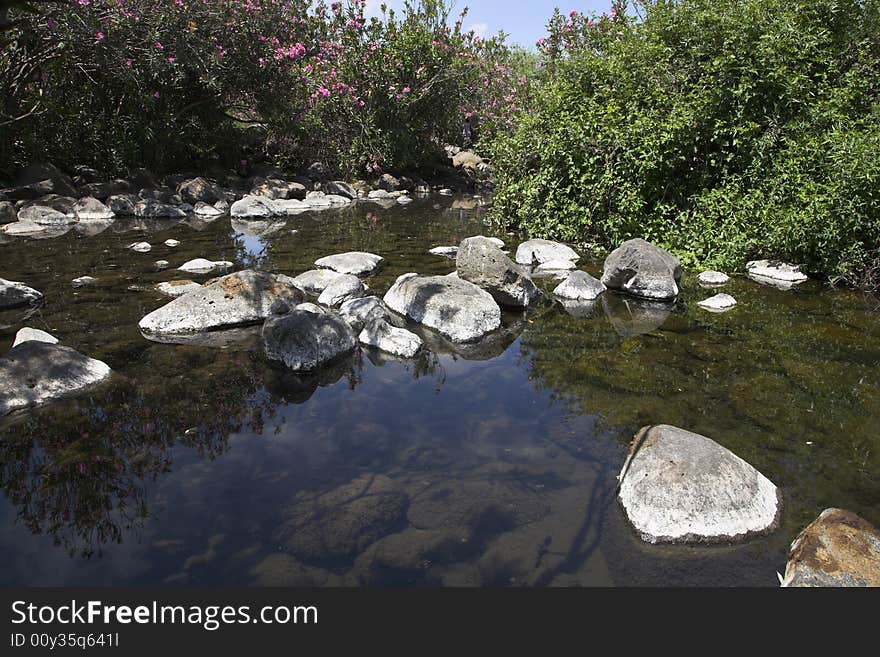 Small pond