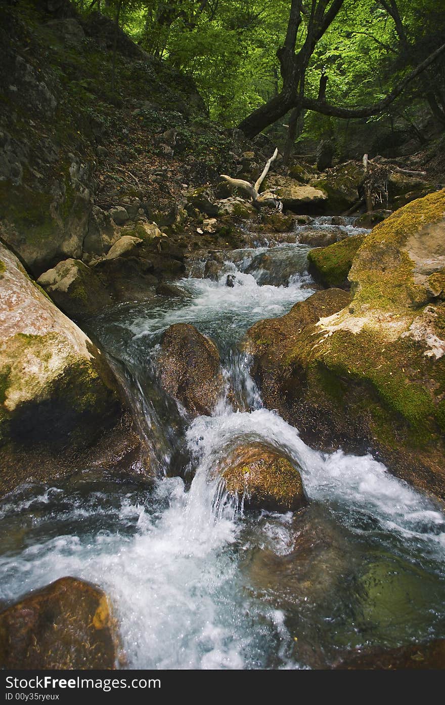 Mountain stream