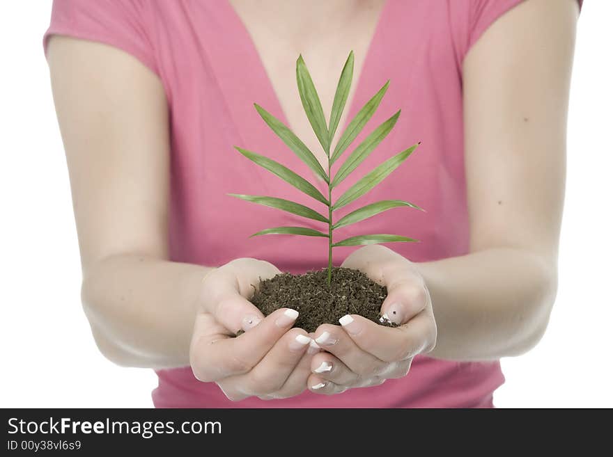 A pretty young woman holding a growing plant. A pretty young woman holding a growing plant