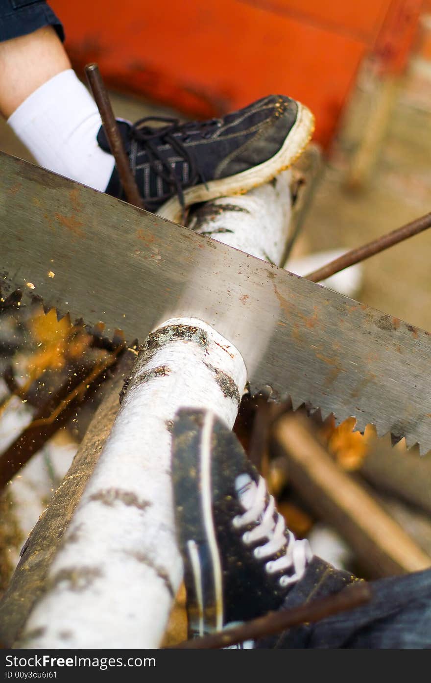 Two mans are cutting the log using saw. Two mans are cutting the log using saw