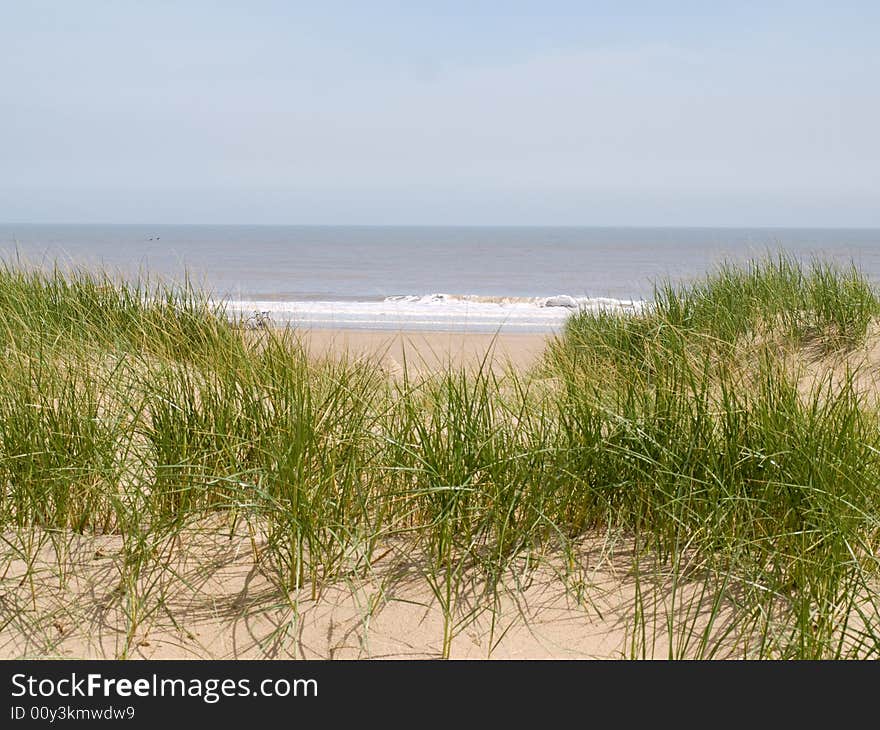 A view of the sea through some sand dune. A view of the sea through some sand dune