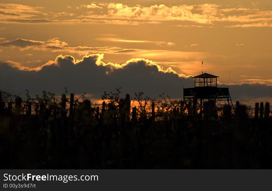 Sentry house above the vineyard