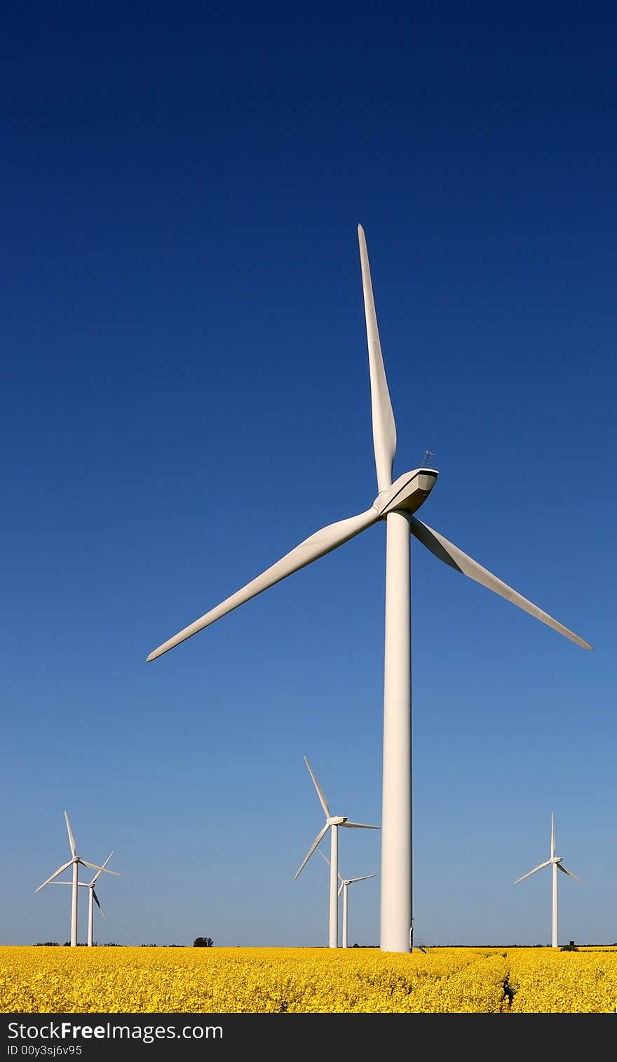 Wind turbines in a rape field