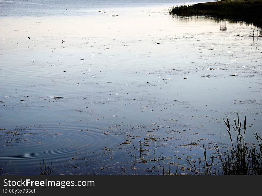 A serene view of a pond at dawn displaying its blue surface framed with reeds and a shore (Mogan Pond, Ankara / Turkey). A serene view of a pond at dawn displaying its blue surface framed with reeds and a shore (Mogan Pond, Ankara / Turkey)