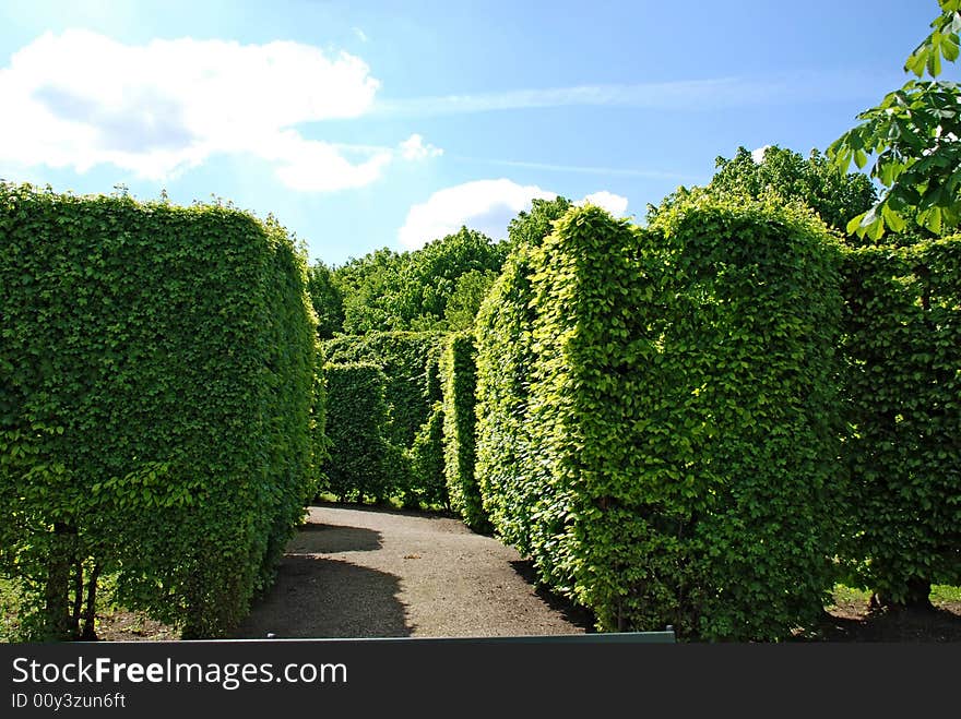 Path In Park